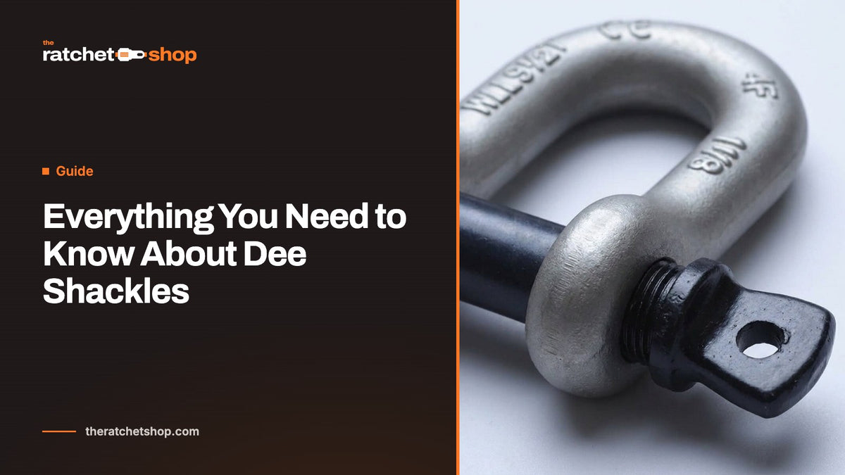 Everything You Need to Know About Dee Shackles
