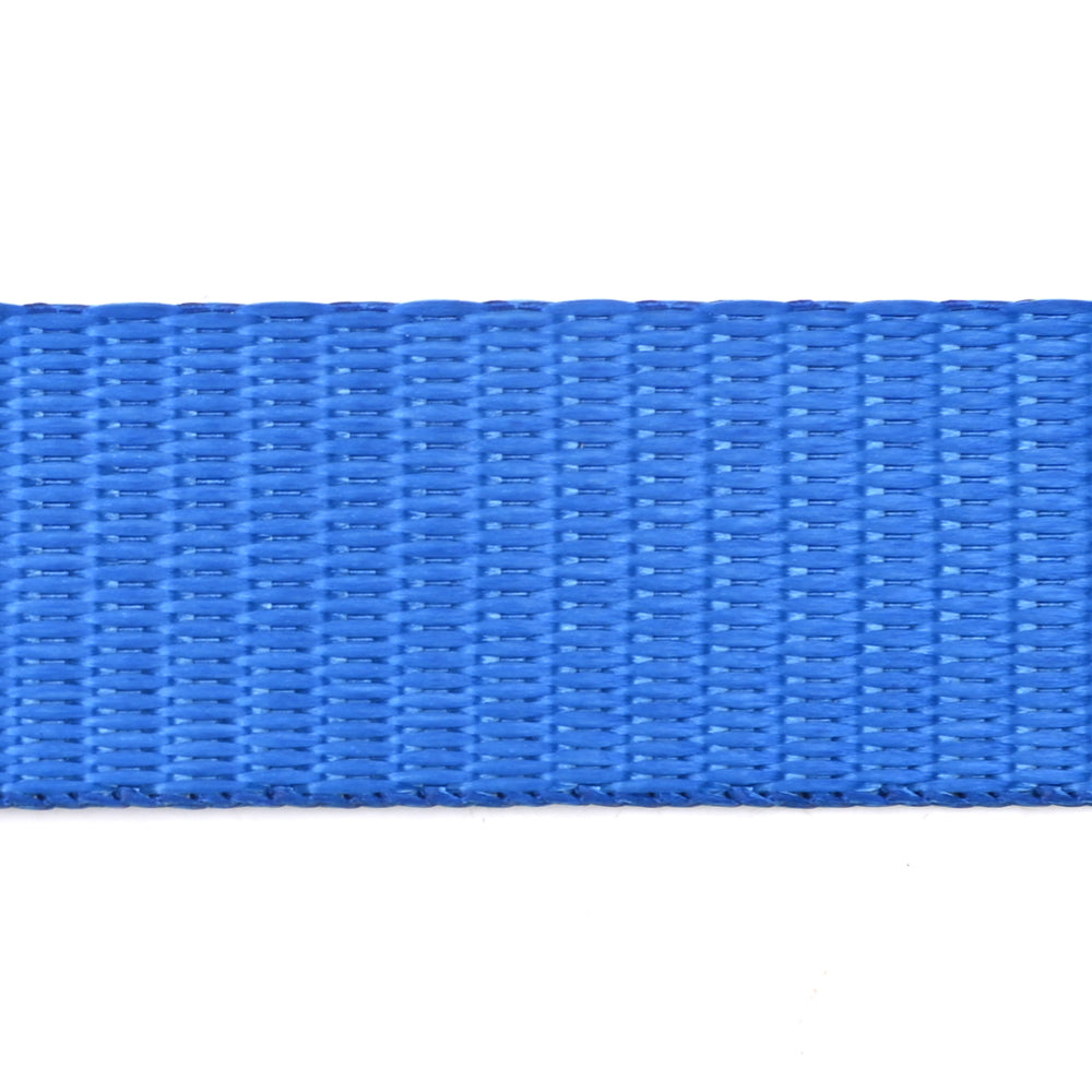 800kg Mini Ratchet Strap with PVC S-Hooks – Blue