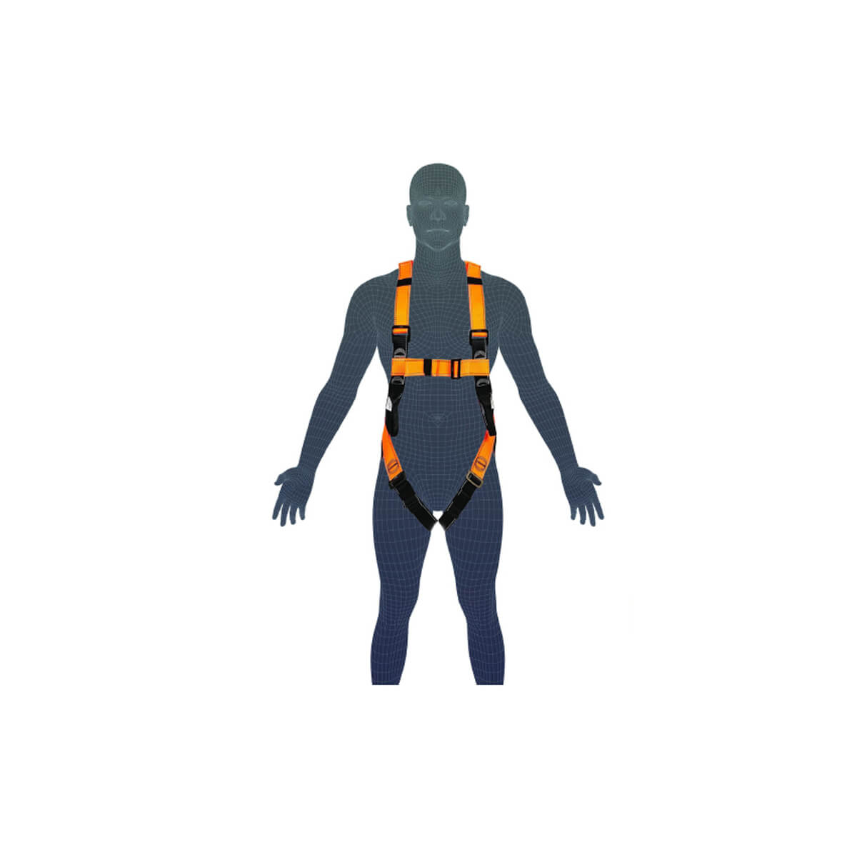 LINQ Essential 2 Point Harness