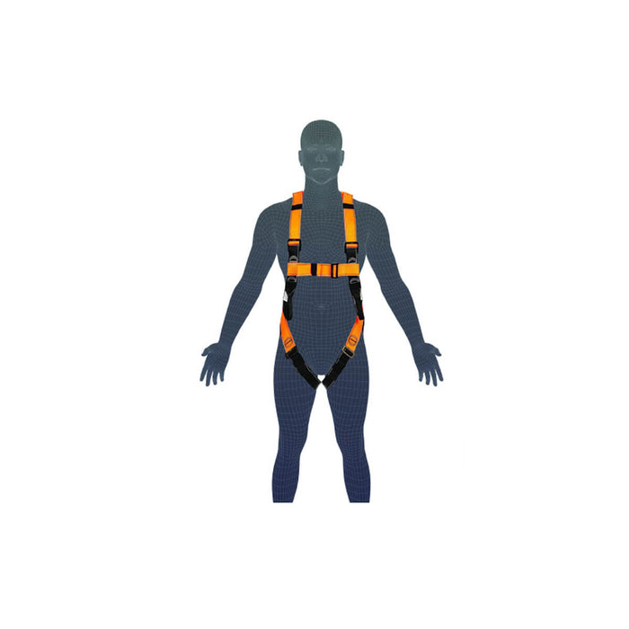 LINQ Essential 2 Point Harness