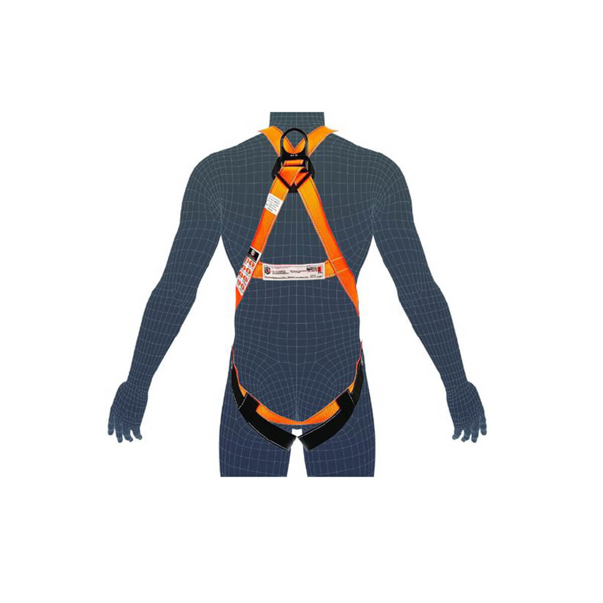 LINQ Essential 2 Point Harness